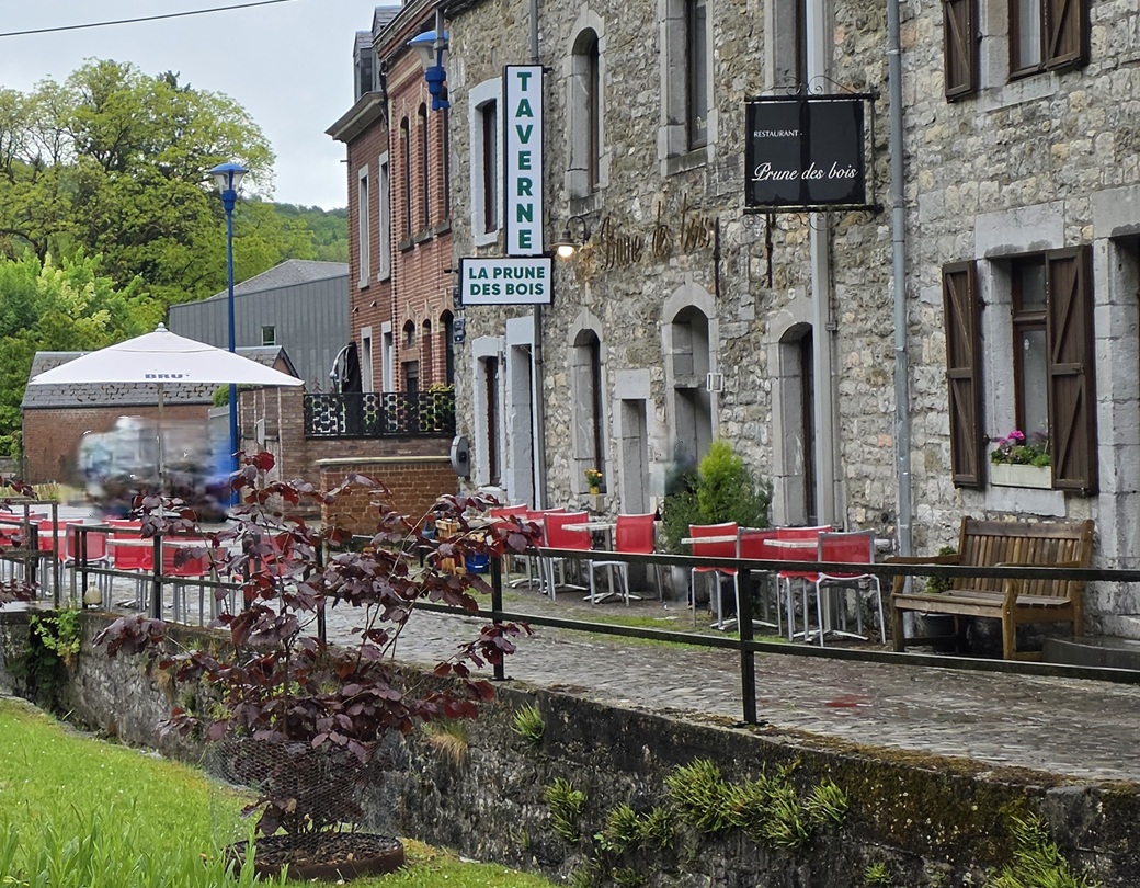 La prune des bois